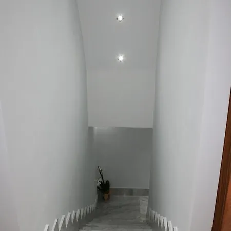 Il Fenicottero *